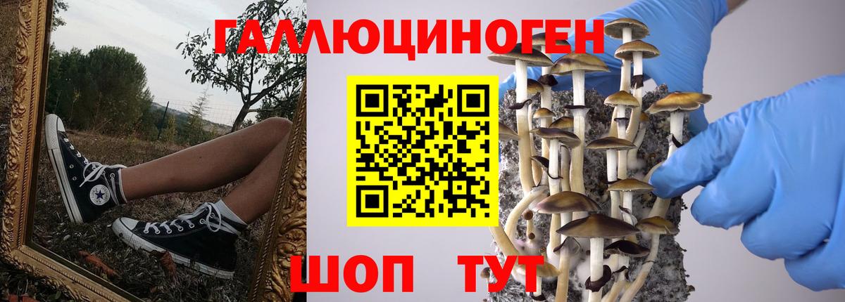 Псилоцибиновые грибы прущие грибы Котельники